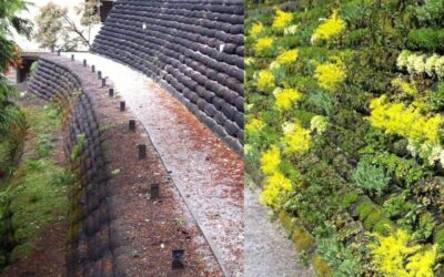 Living Wall Goes Up At Our New Bomere Heath Development